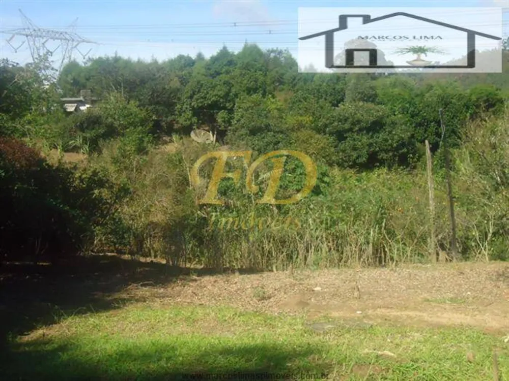Terreno, 6000 m² - Foto 7