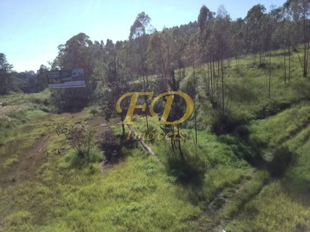 Terreno, 32 hectares - Foto 5