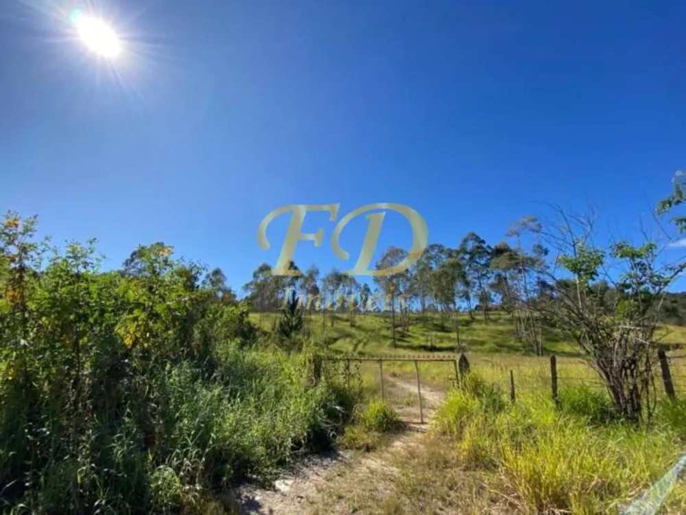 Terreno, 32 hectares - Foto 6