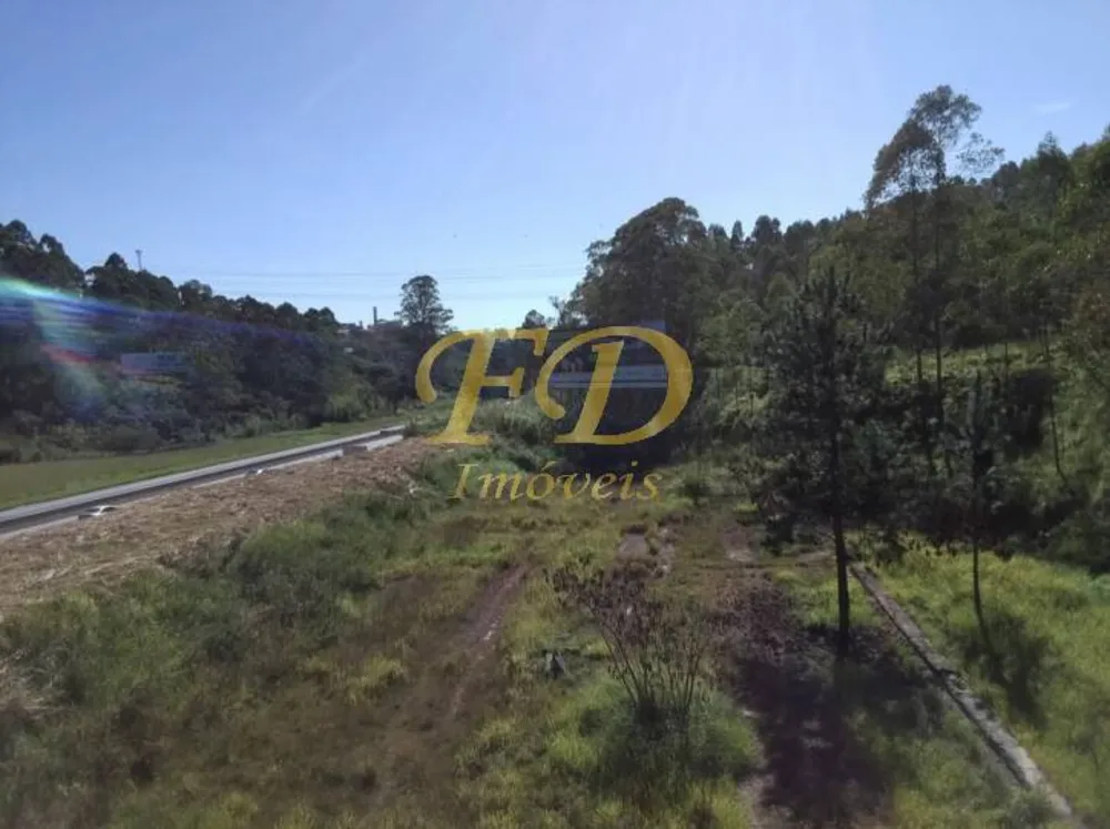 Terreno, 32 hectares - Foto 3