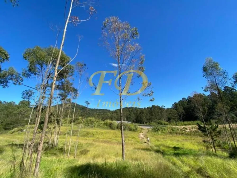 Terreno, 32 hectares - Foto 8