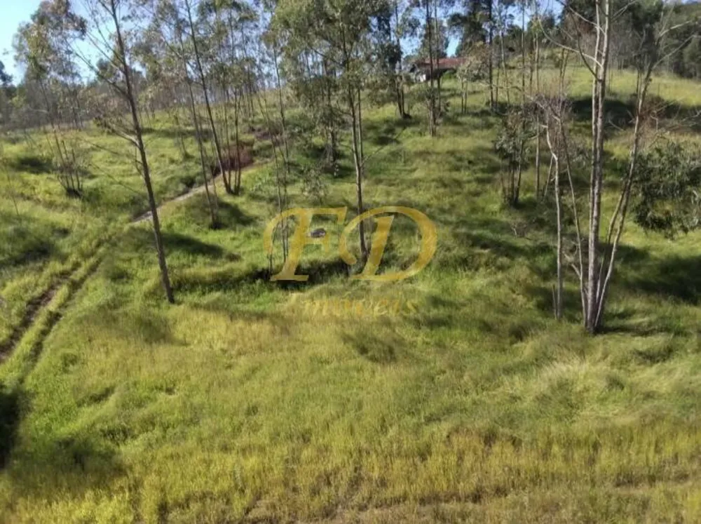 Terreno, 32 hectares - Foto 4
