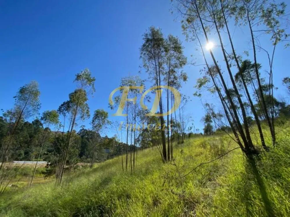 Terreno, 32 hectares - Foto 7