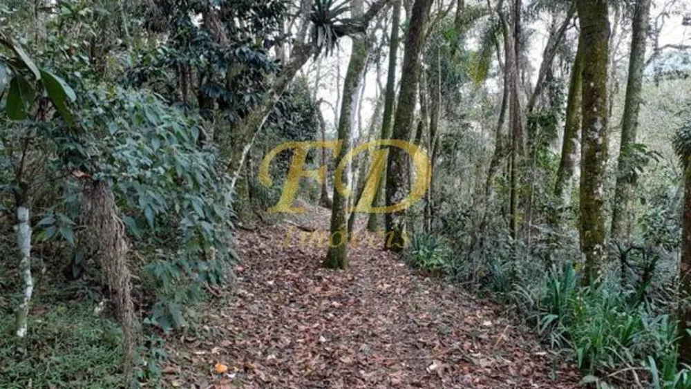 Terreno, 2 hectares - Foto 3