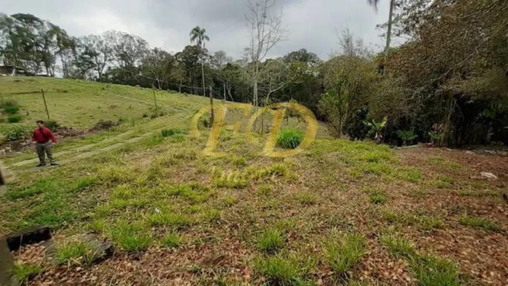 Terreno, 2 hectares - Foto 2