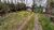 Terreno, 2 hectares - Foto 1