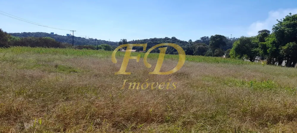 Prédio Inteiro - Foto 5