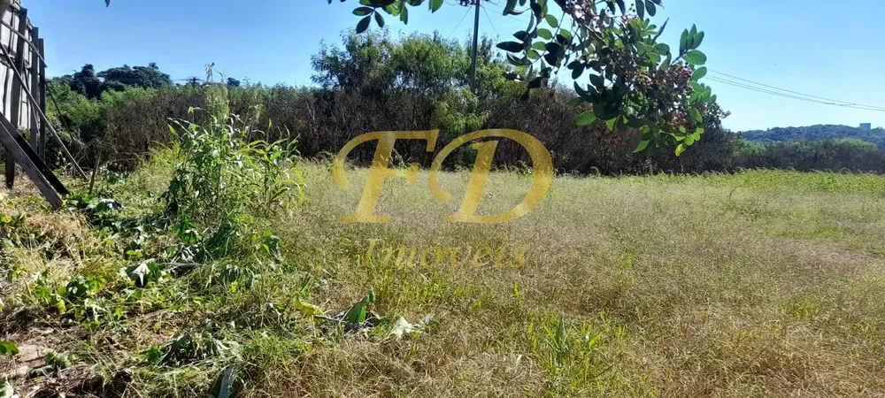 Prédio Inteiro - Foto 6