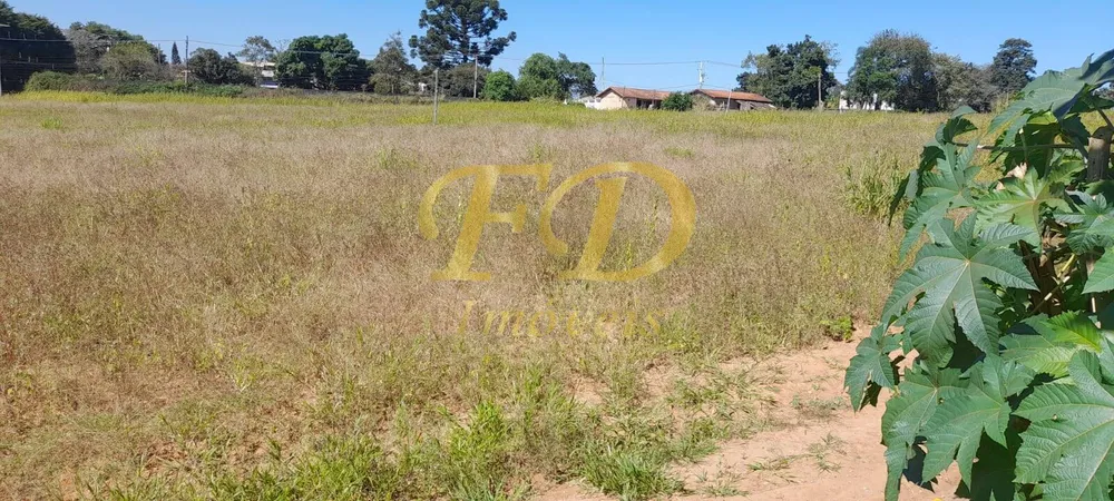 Prédio Inteiro - Foto 11