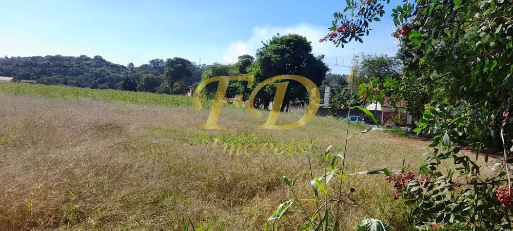 Prédio Inteiro - Foto 1