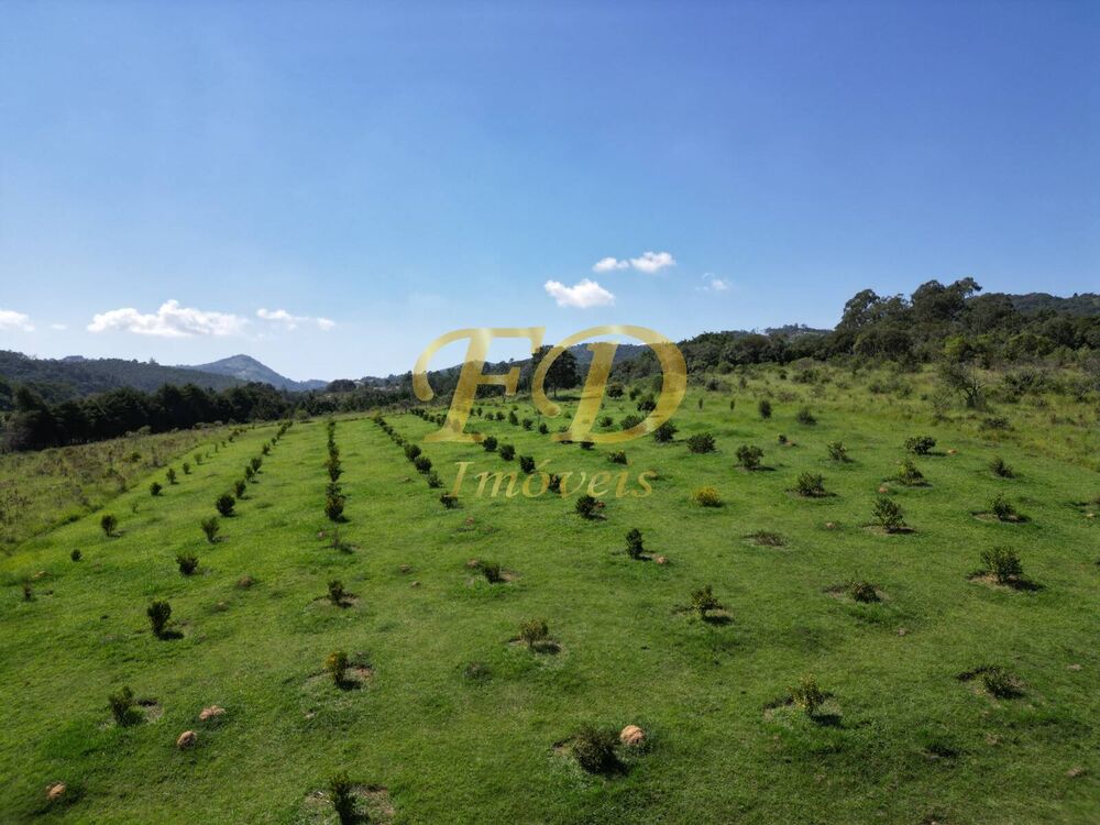 Prédio Inteiro à venda, 220000m² - Foto 4