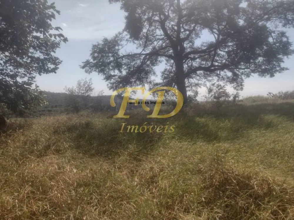 Terreno, 4 hectares - Foto 4