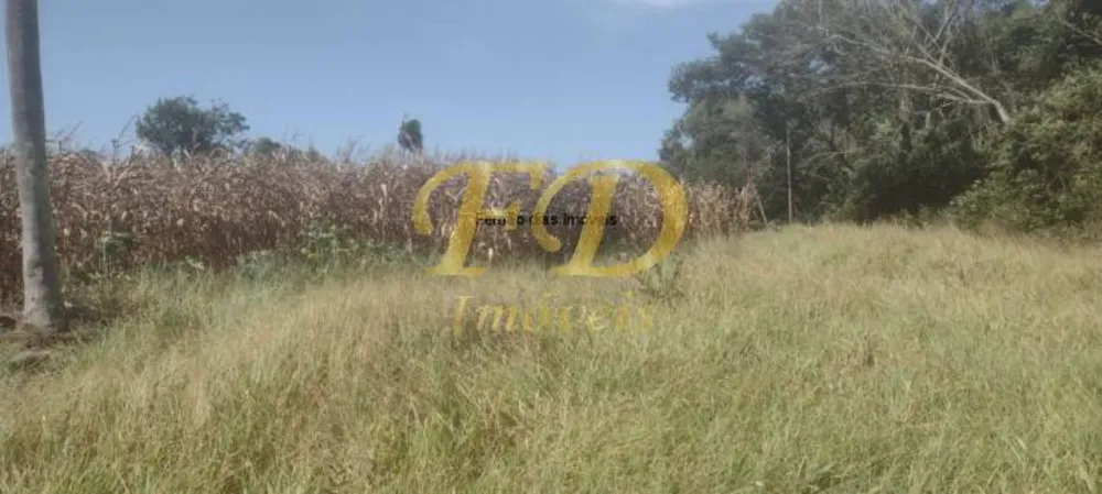 Terreno, 4 hectares - Foto 2