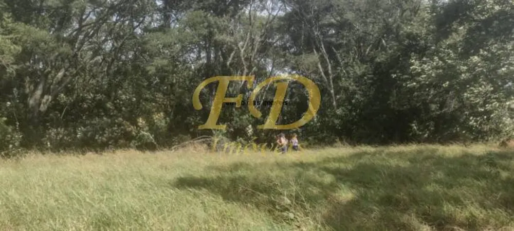Terreno, 4 hectares - Foto 1