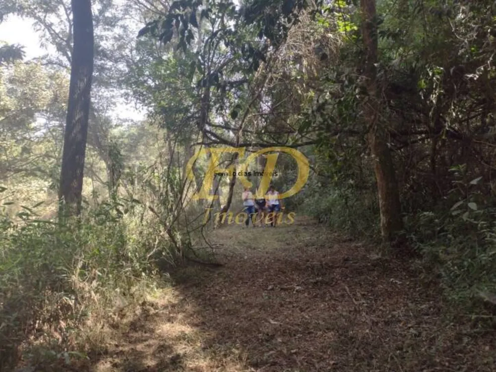Terreno, 4 hectares - Foto 6