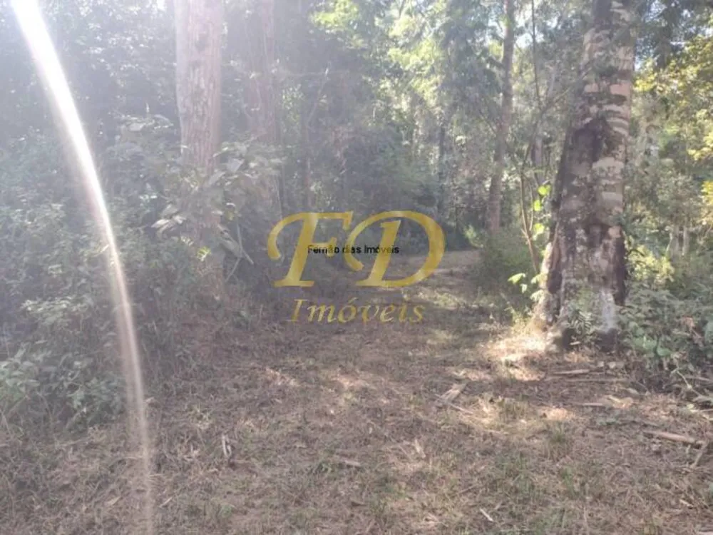 Terreno, 4 hectares - Foto 8