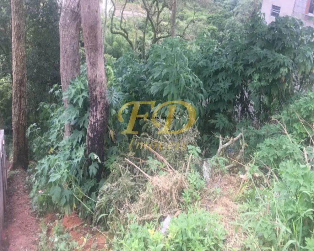 Terreno, 250 m² - Foto 2