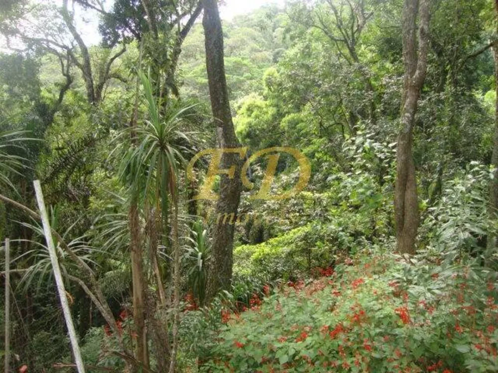 Chácara, 4 quartos, 2500 m² - Foto 8
