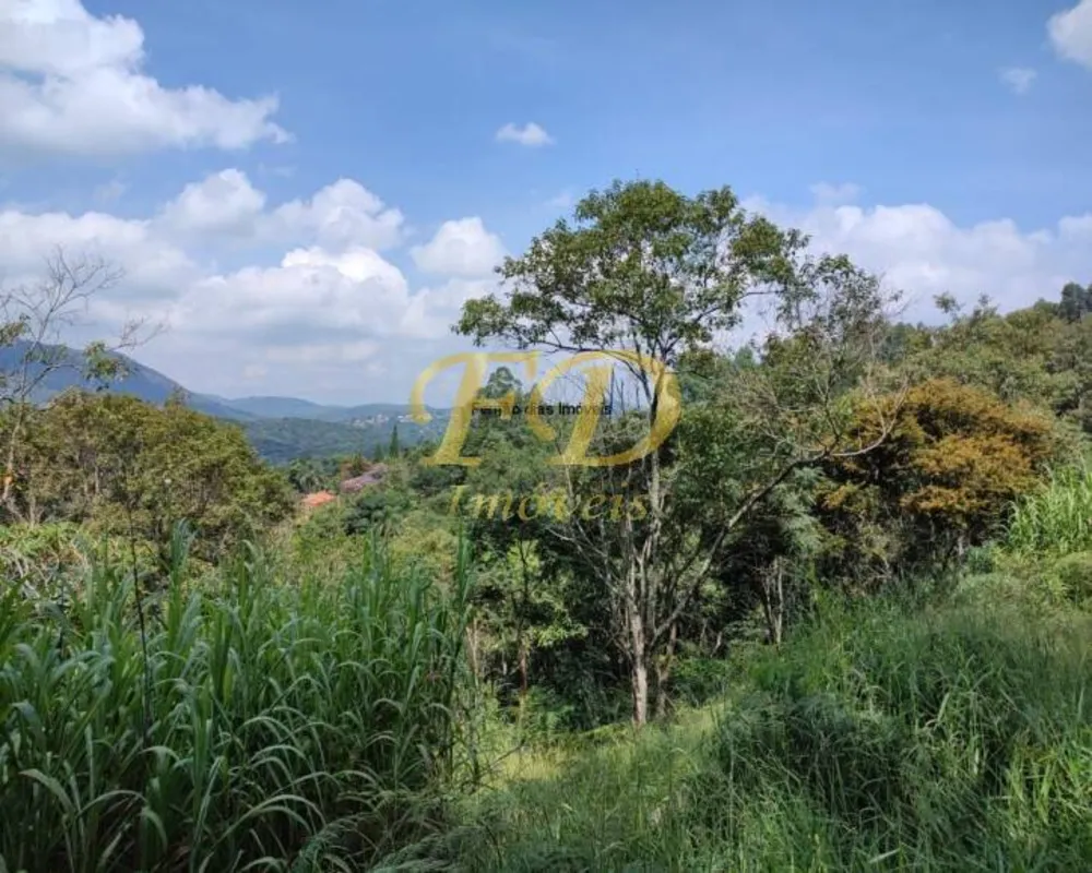 Chácara, 3 quartos, 8000 m² - Foto 1