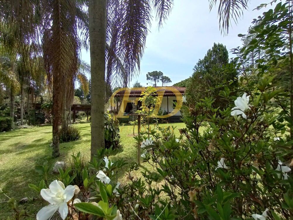 Chácara, 2 quartos, 3 hectares - Foto 3