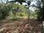 Chácara, 2 quartos, 3 hectares - Foto 1