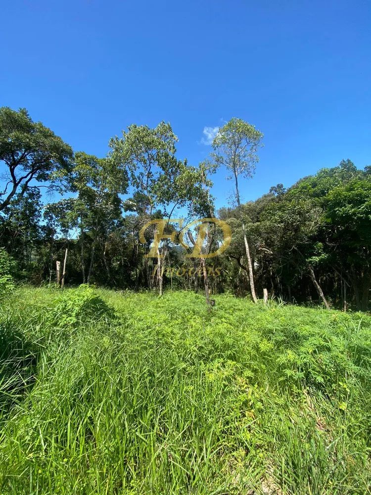 Terreno, 1000 m² - Foto 1