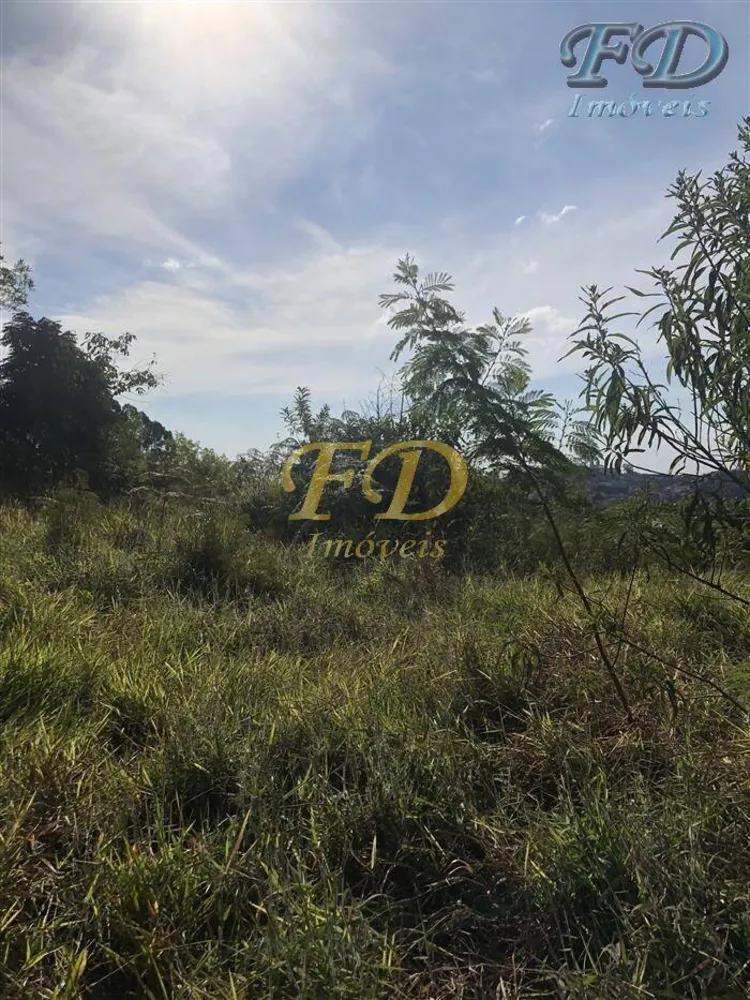 Terreno, 6 hectares - Foto 7