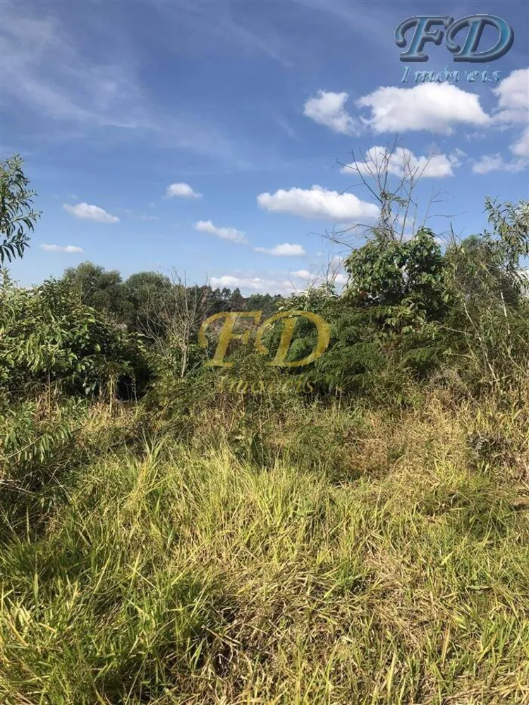 Terreno, 6 hectares - Foto 3