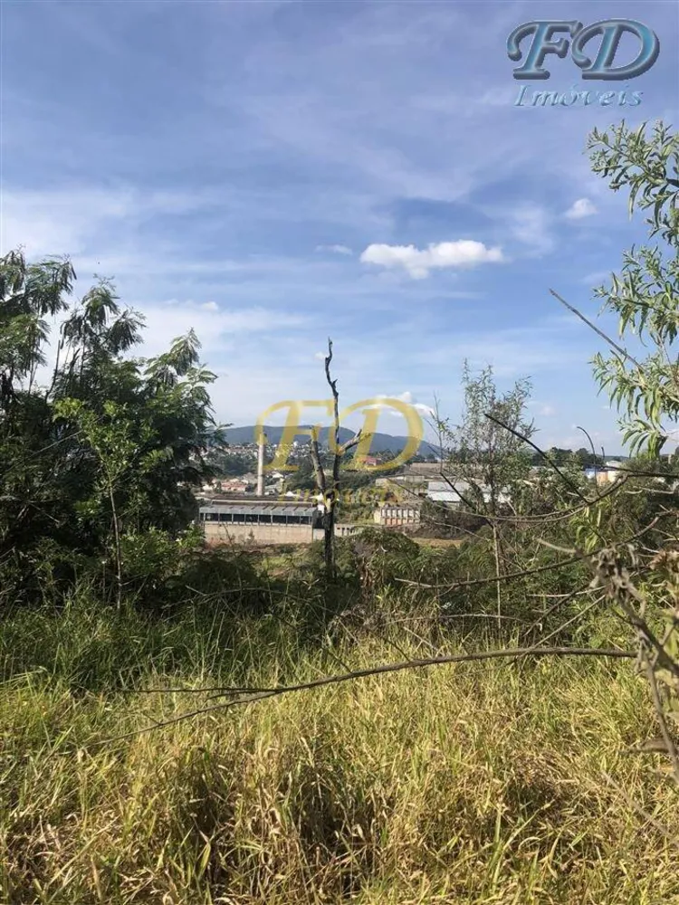 Terreno, 6 hectares - Foto 8