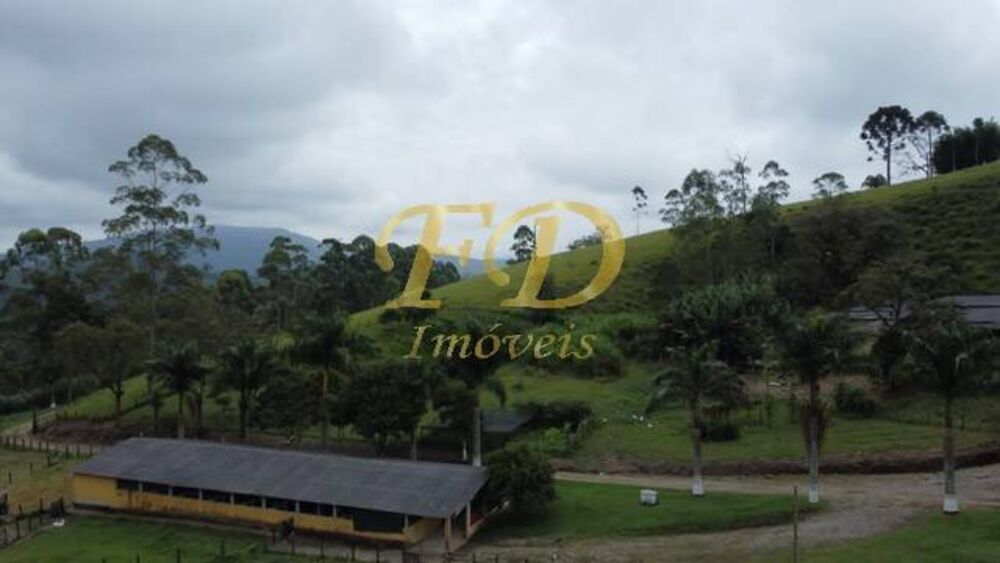 Terreno, 15 hectares - Foto 5