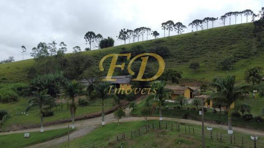 Terreno, 15 hectares - Foto 4