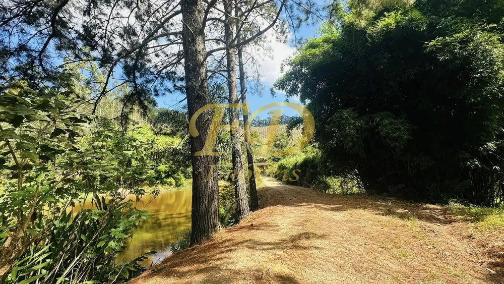 Sítio, 7 quartos, 12 hectares - Foto 4