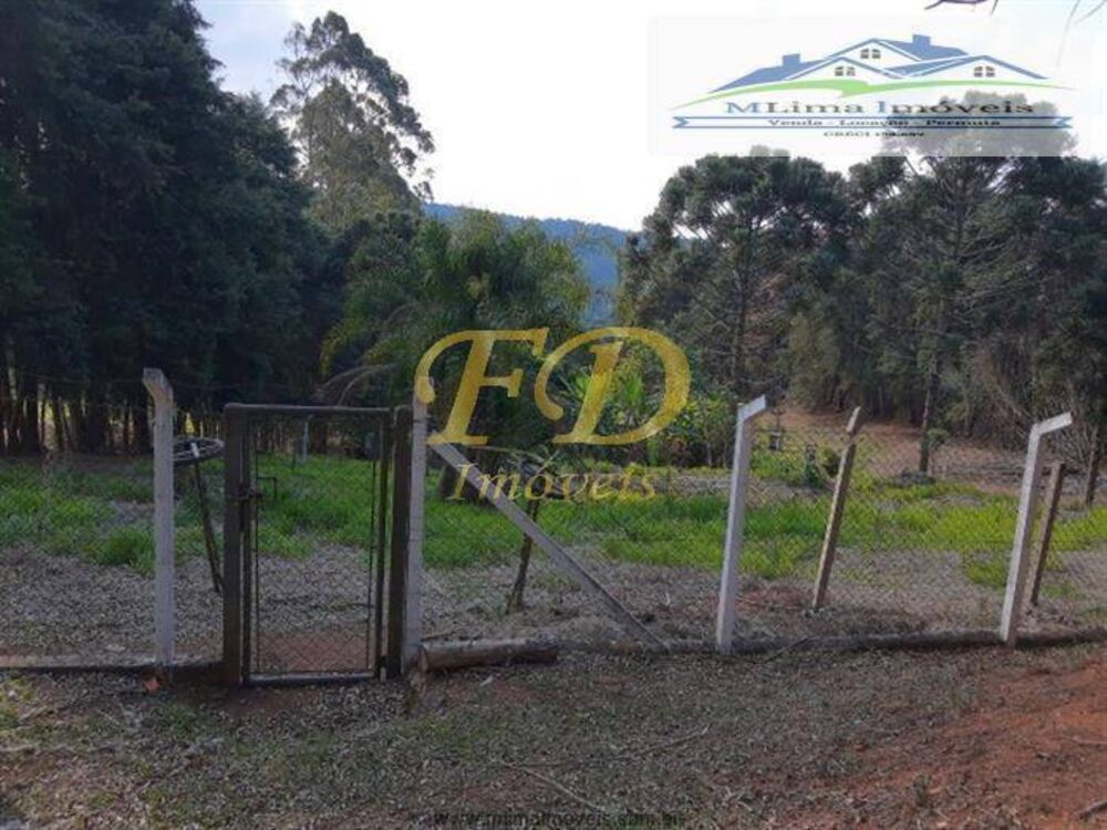 Sítio, 5 quartos, 12 hectares - Foto 3