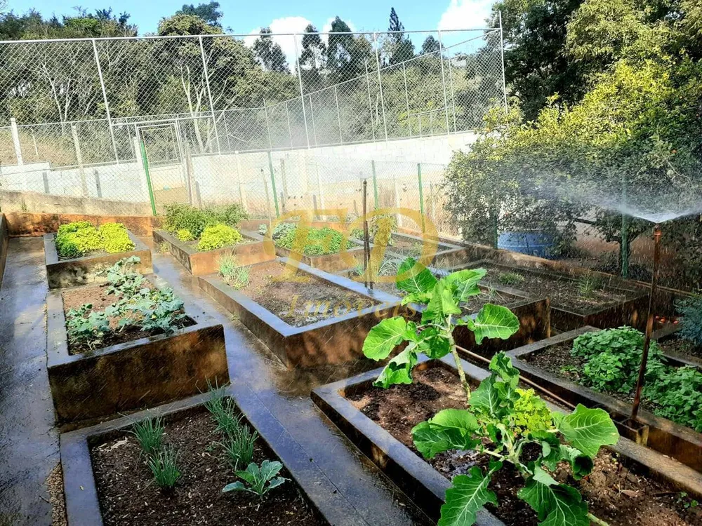 Terreno, 2600 m² - Foto 7