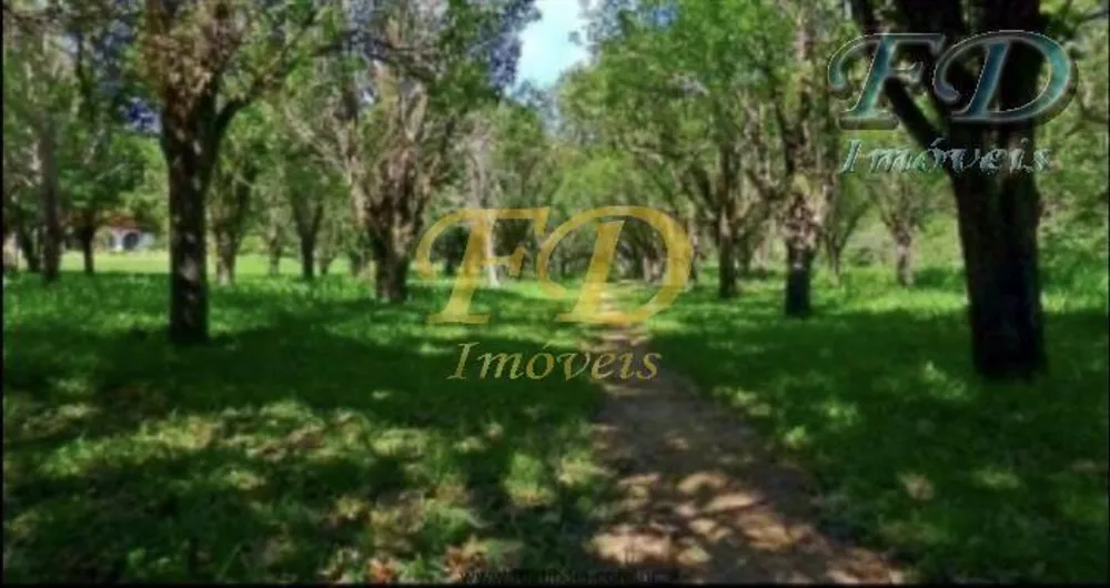 Sítio, 10 quartos, 29 hectares - Foto 6