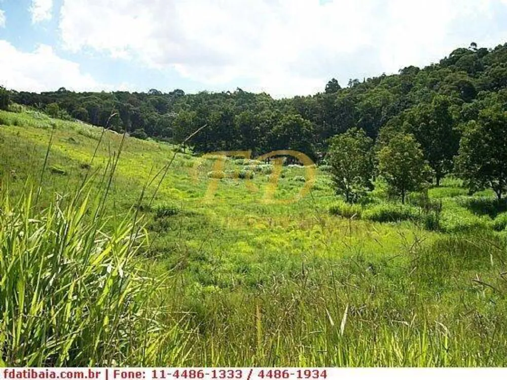 Terreno, 7 hectares - Foto 4