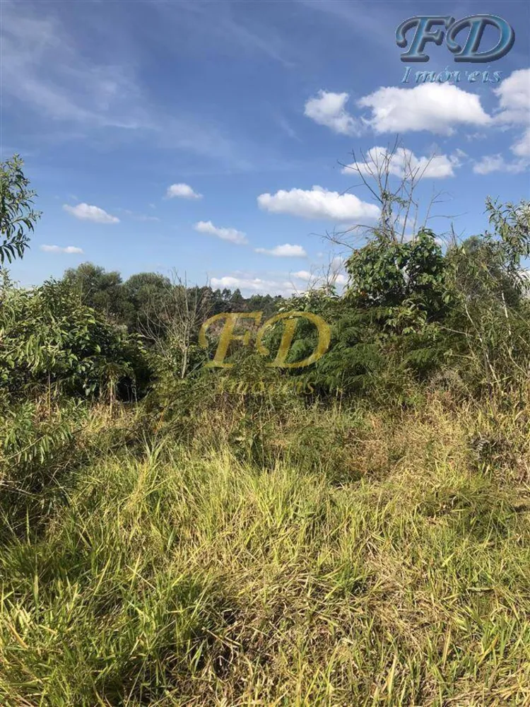 Terreno, 6 hectares - Foto 3