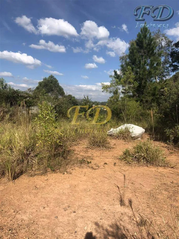 Terreno, 6 hectares - Foto 4