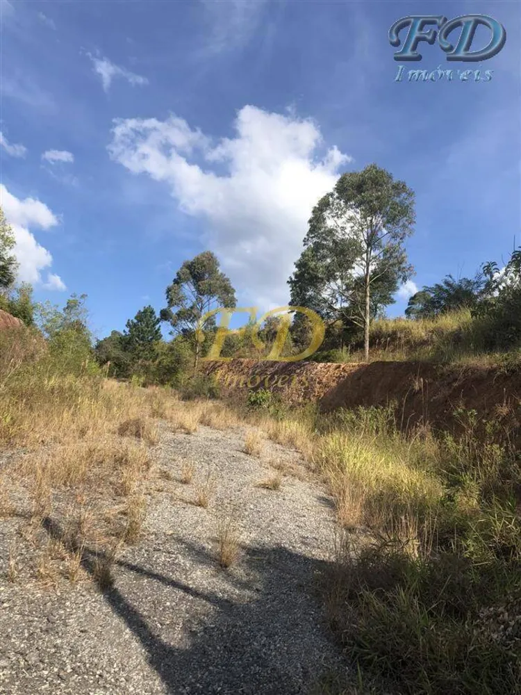 Terreno, 6 hectares - Foto 3