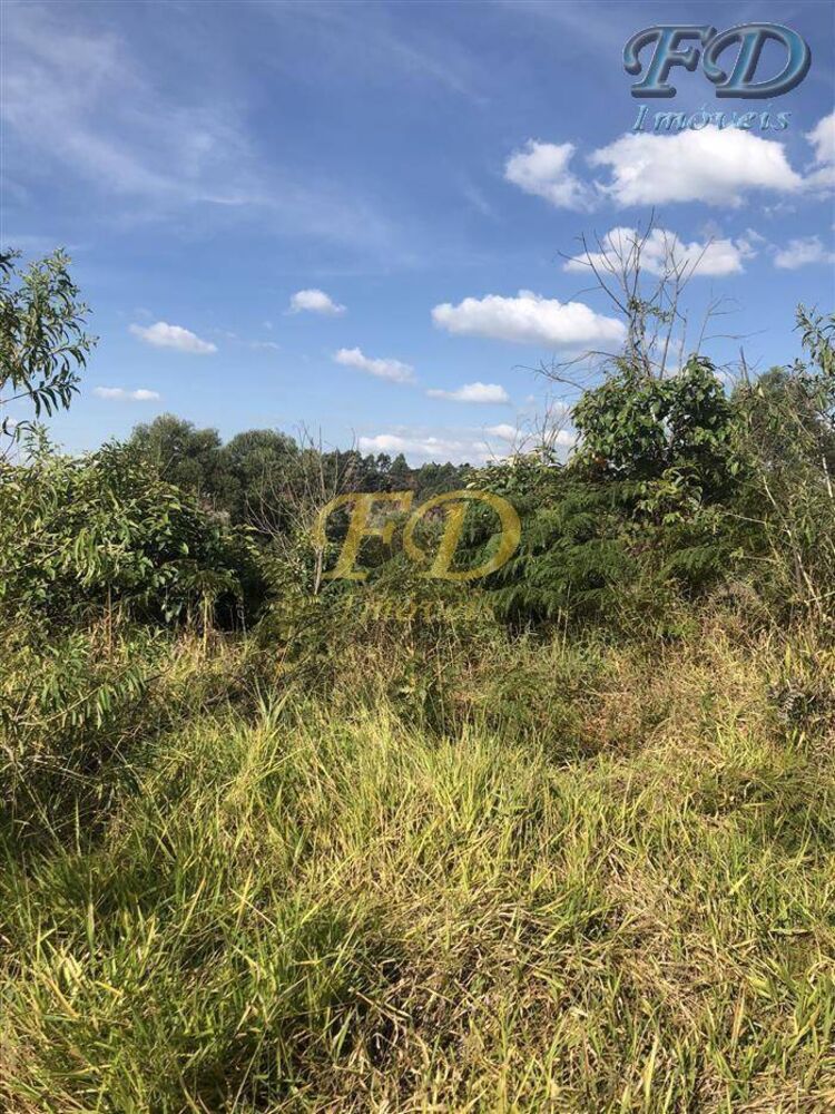 Terreno, 6 hectares - Foto 6