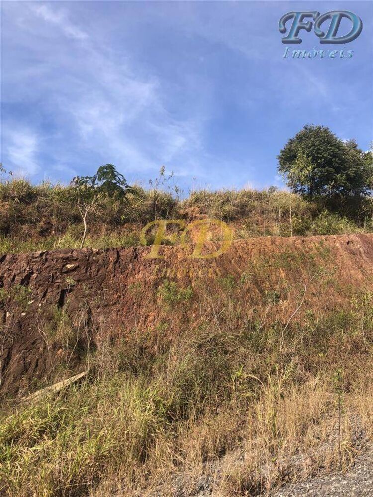 Terreno, 6 hectares - Foto 8