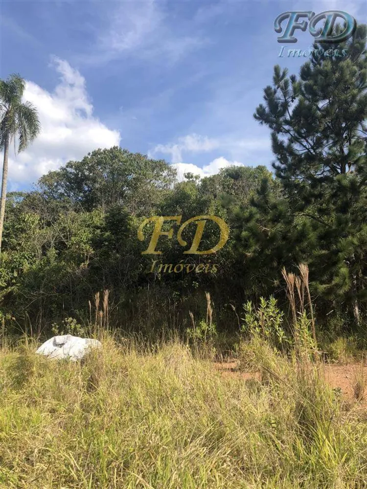 Terreno, 6 hectares - Foto 7