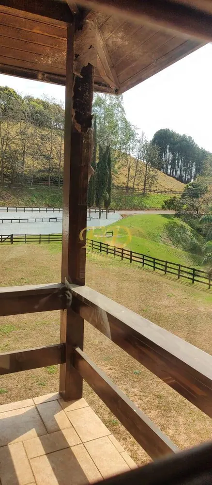Terreno, 5 hectares - Foto 4