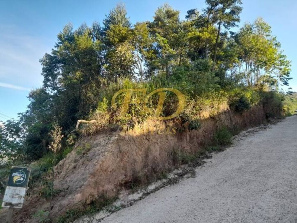 Terreno, 2 hectares - Foto 2