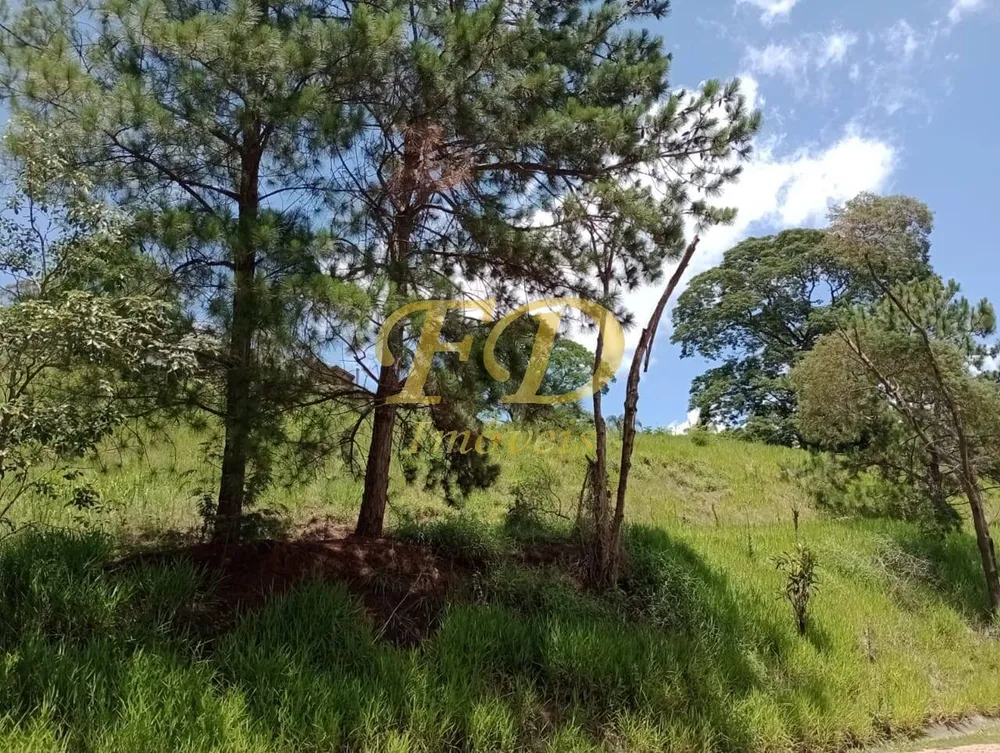 Terreno, 2 hectares - Foto 1