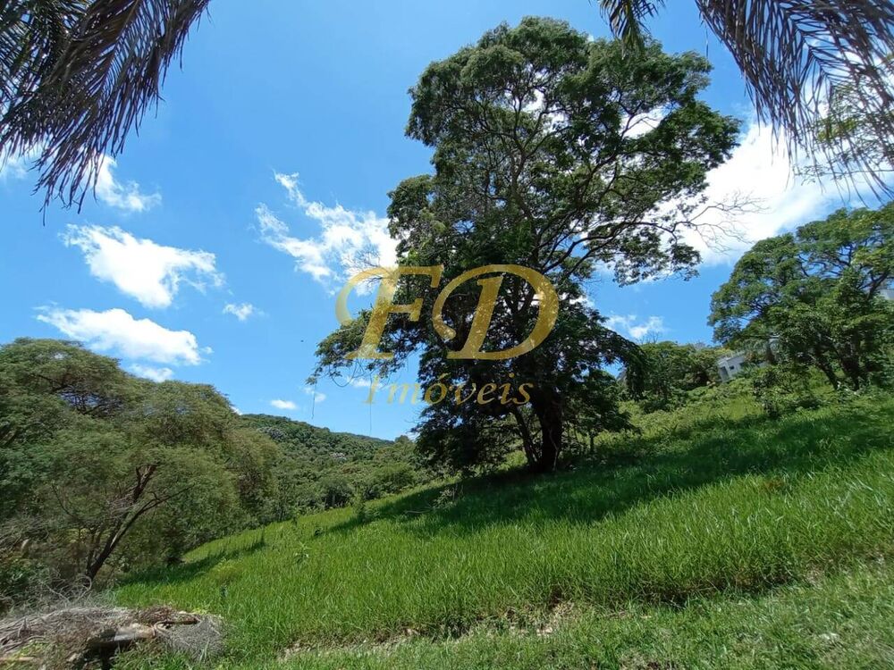 Terreno, 2 hectares - Foto 3