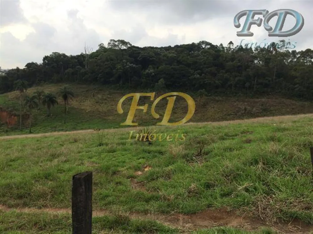 Terreno, 4 hectares - Foto 12