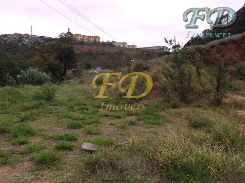 Terreno, 4 hectares - Foto 4