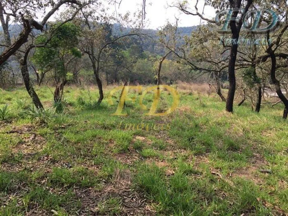 Terreno, 4 hectares - Foto 6