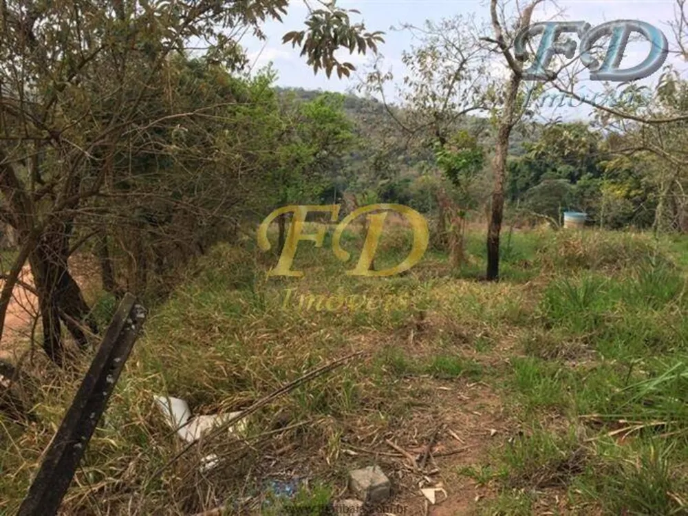 Terreno, 4 hectares - Foto 9